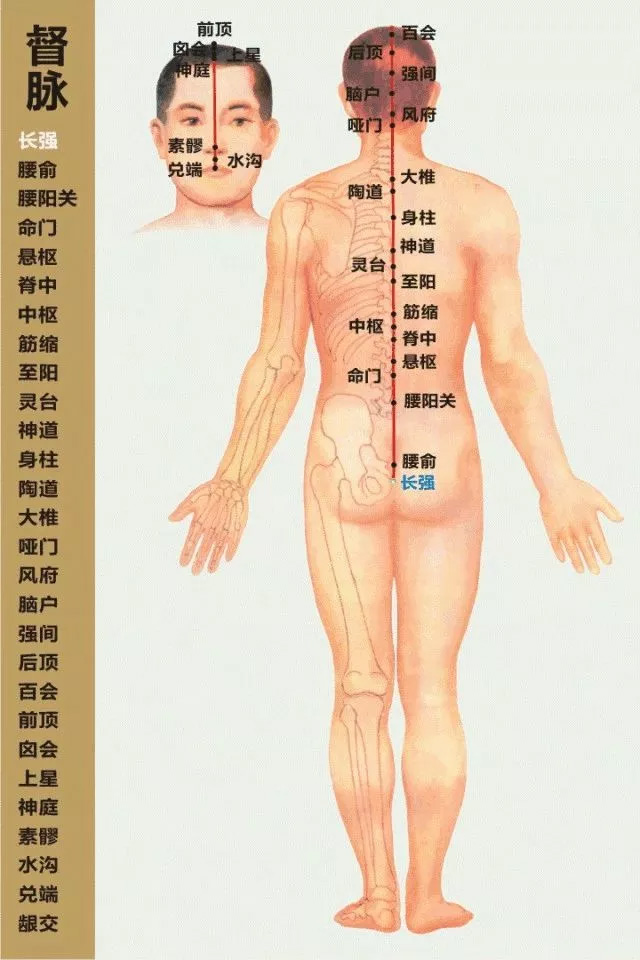 久坐，最温柔的慢性自杀！(图5)